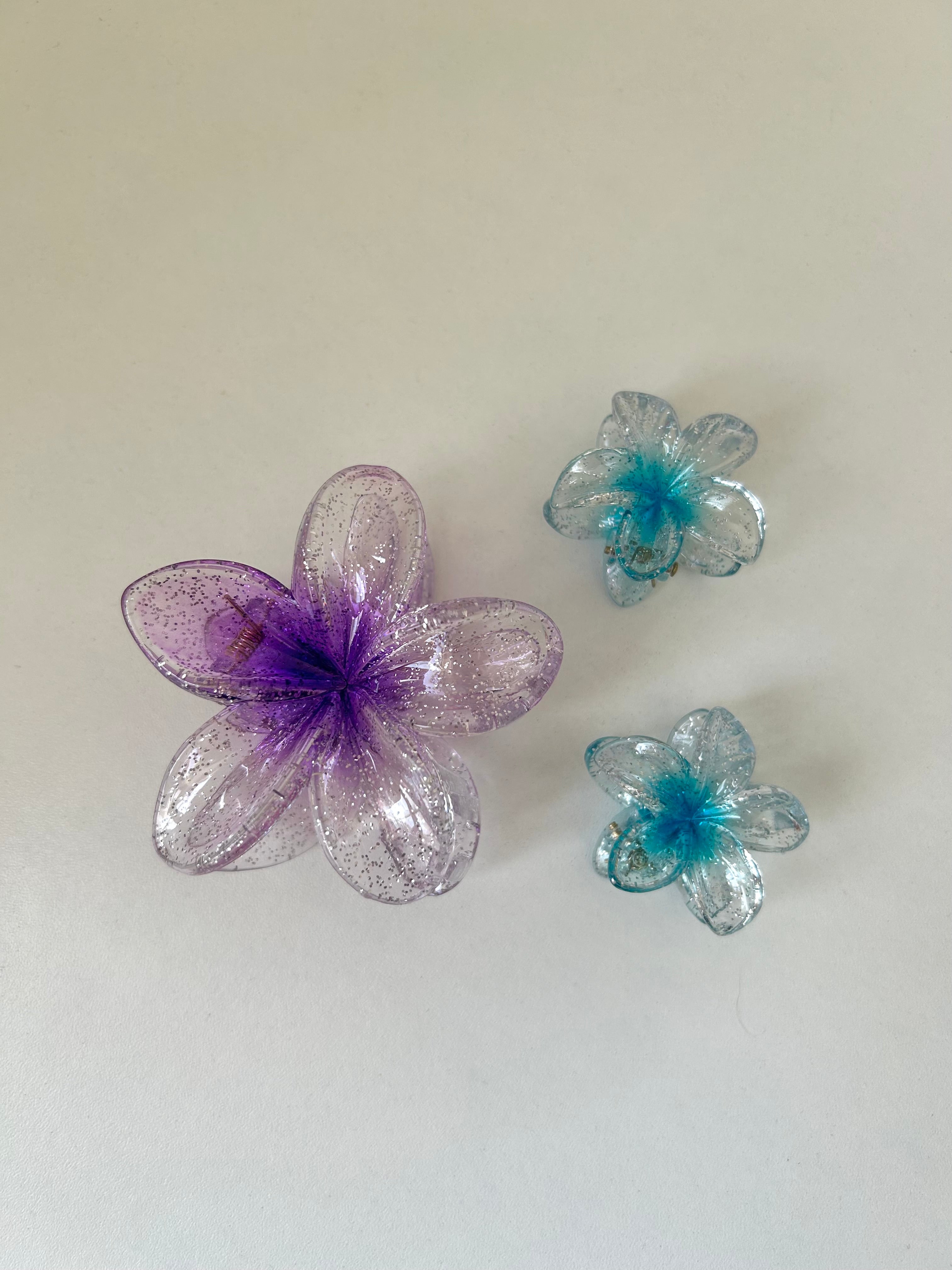 Set Transparent Flower Clips
