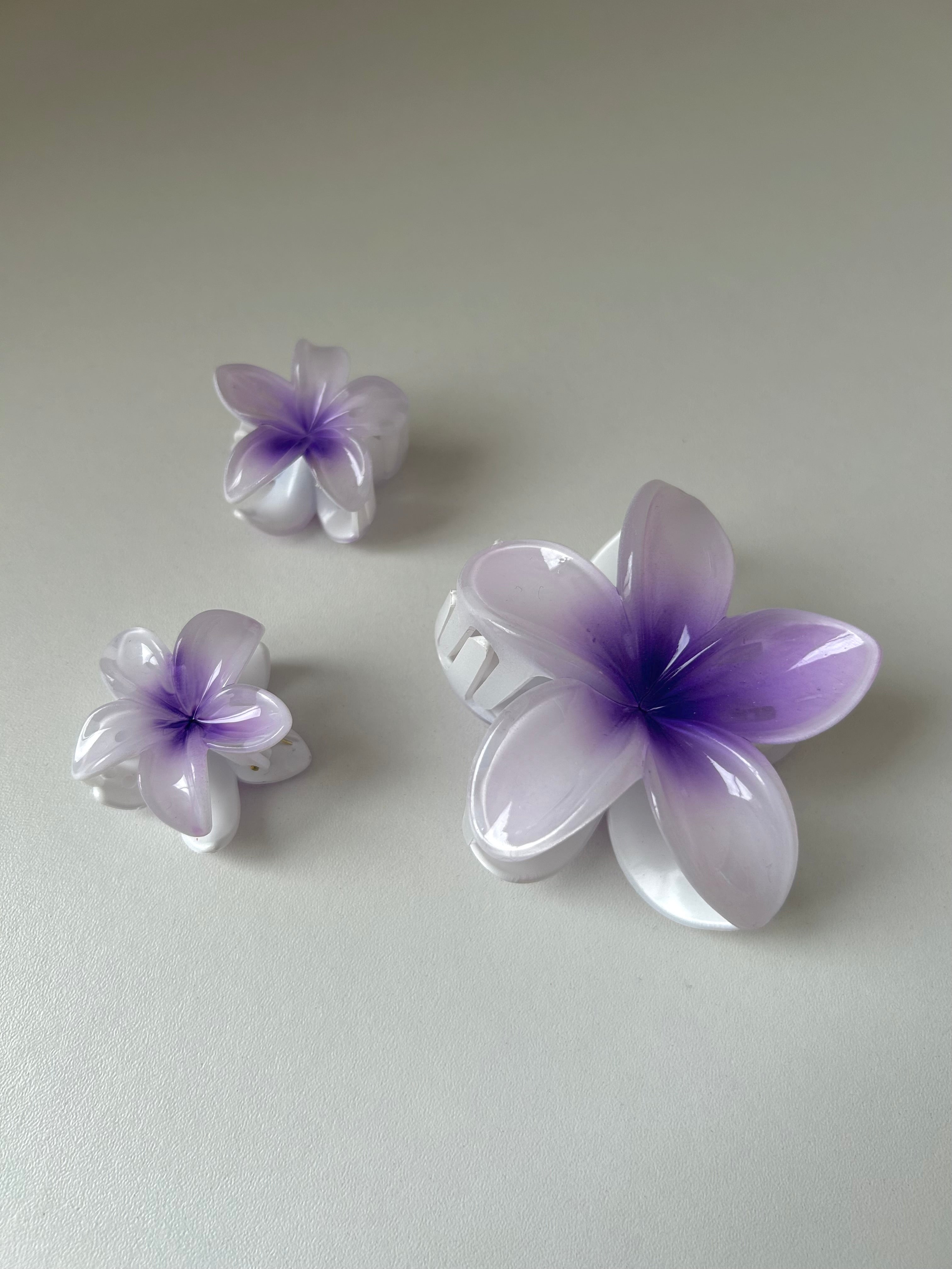 Set Flower Clips