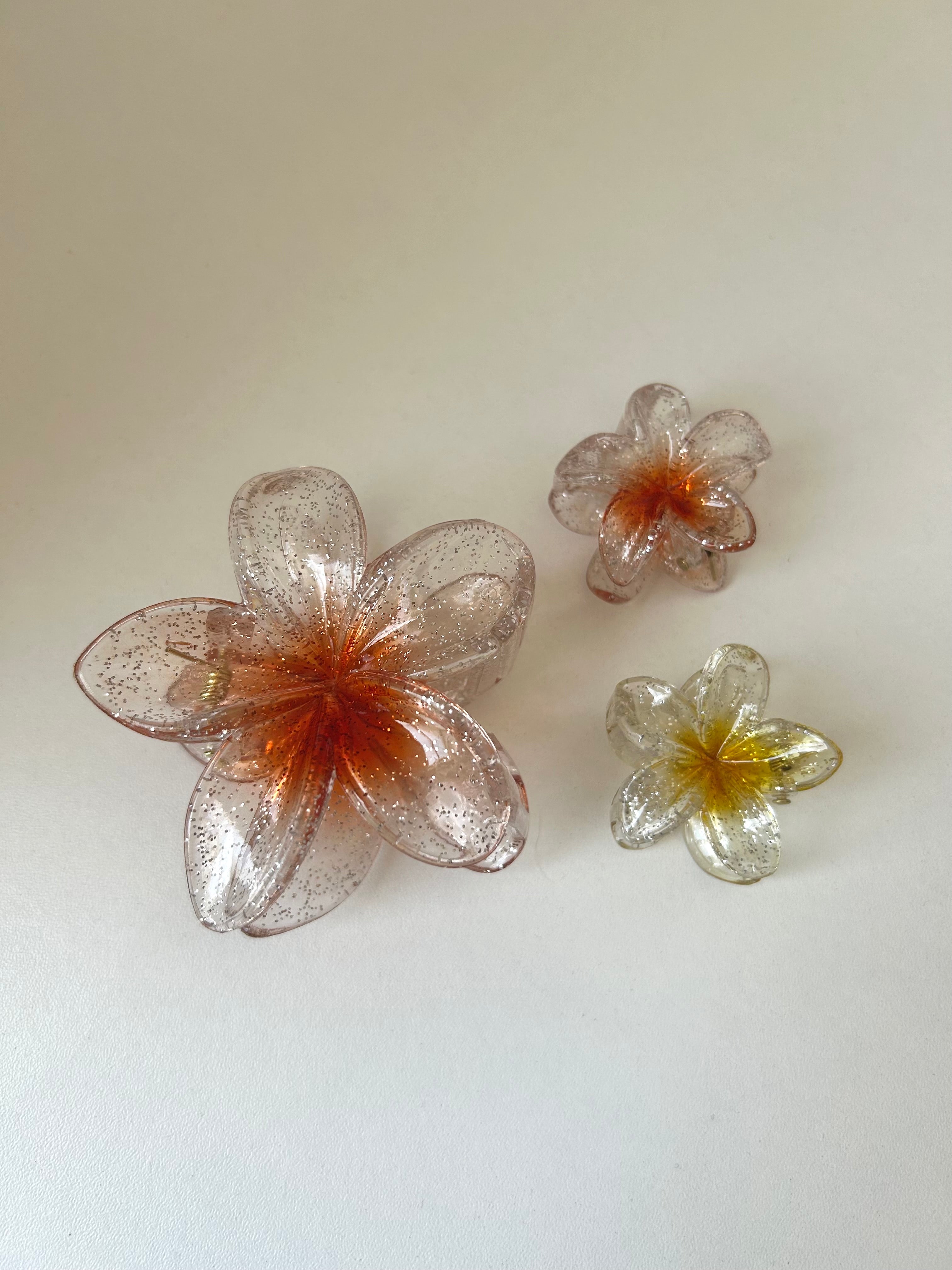 Set Transparent Flower Clips