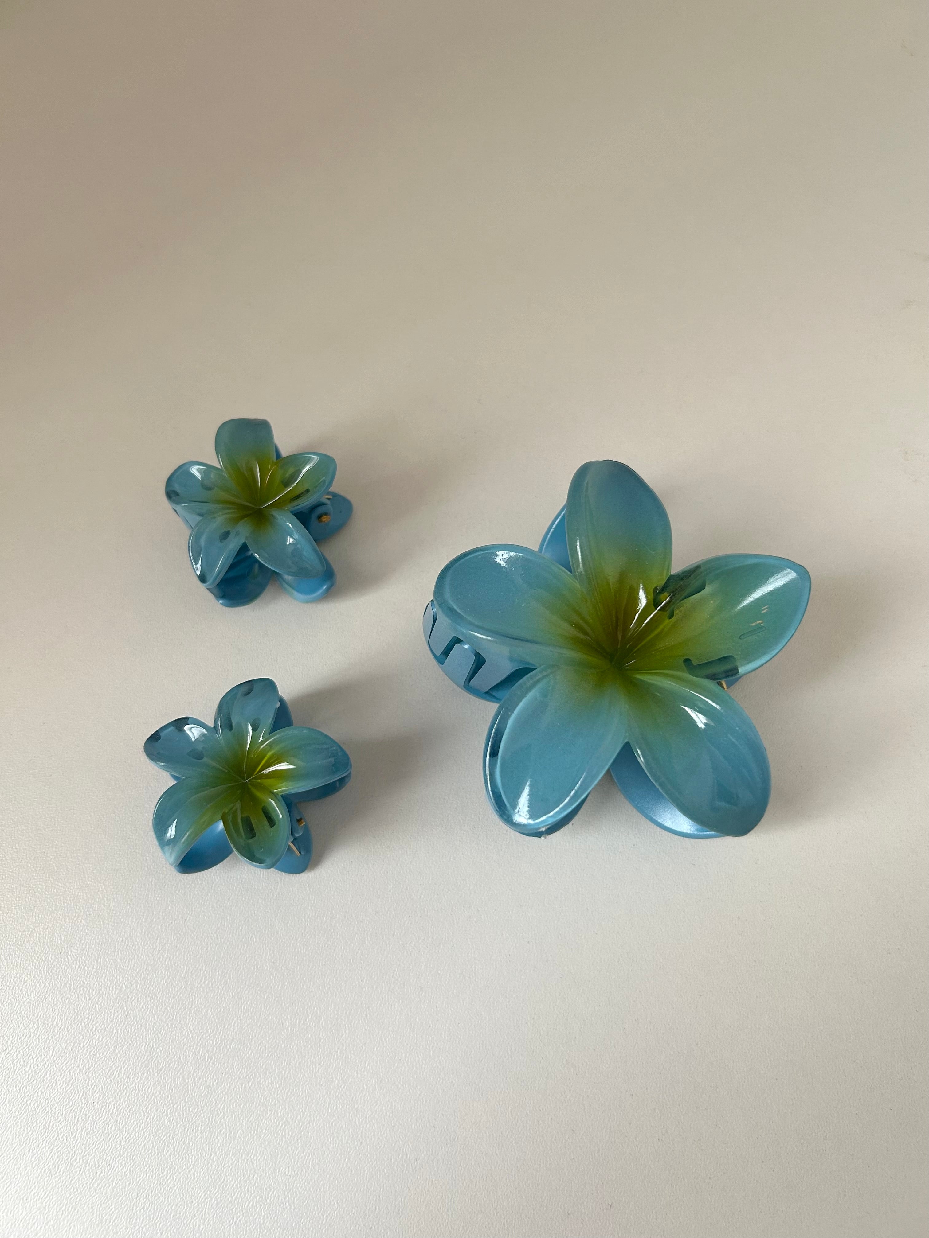 Set Flower Clips