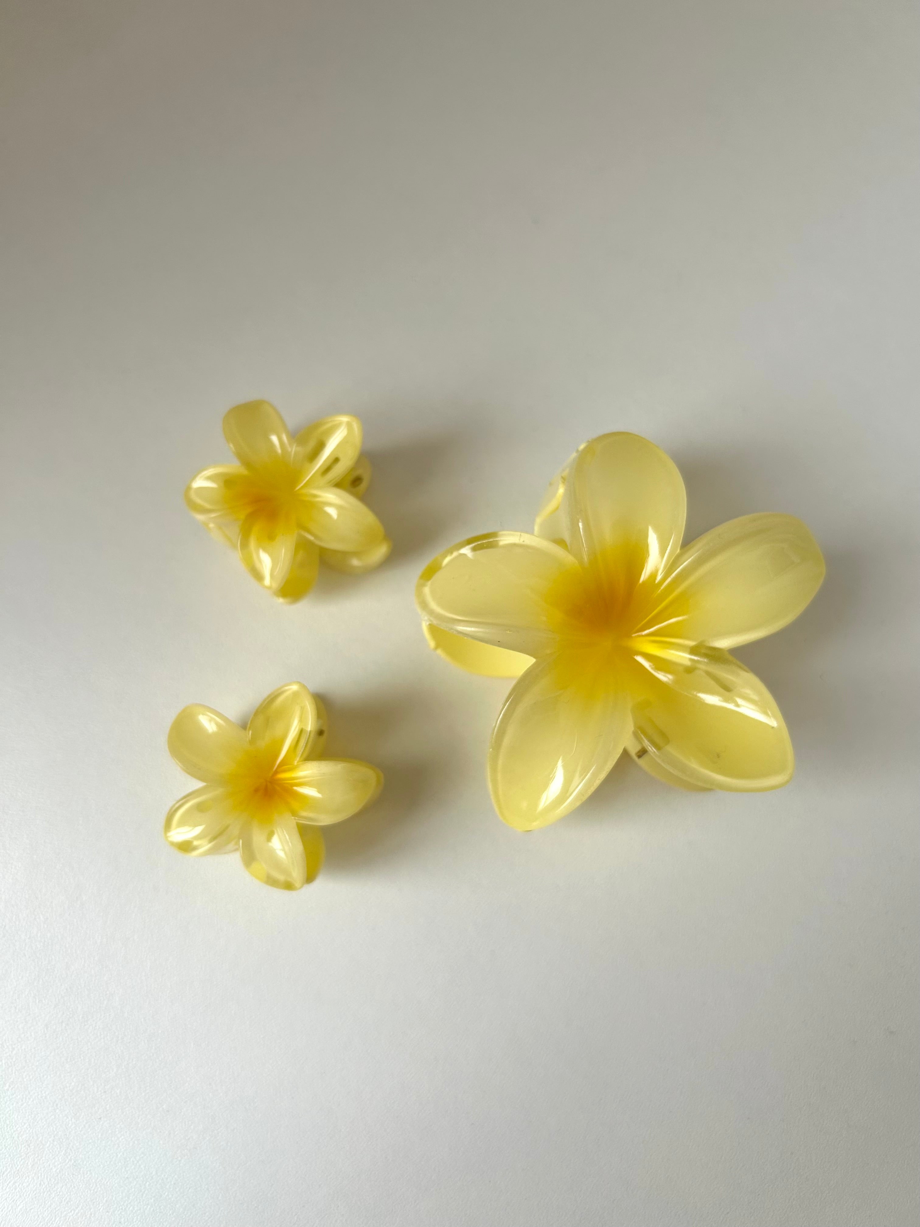 Set Flower Clips