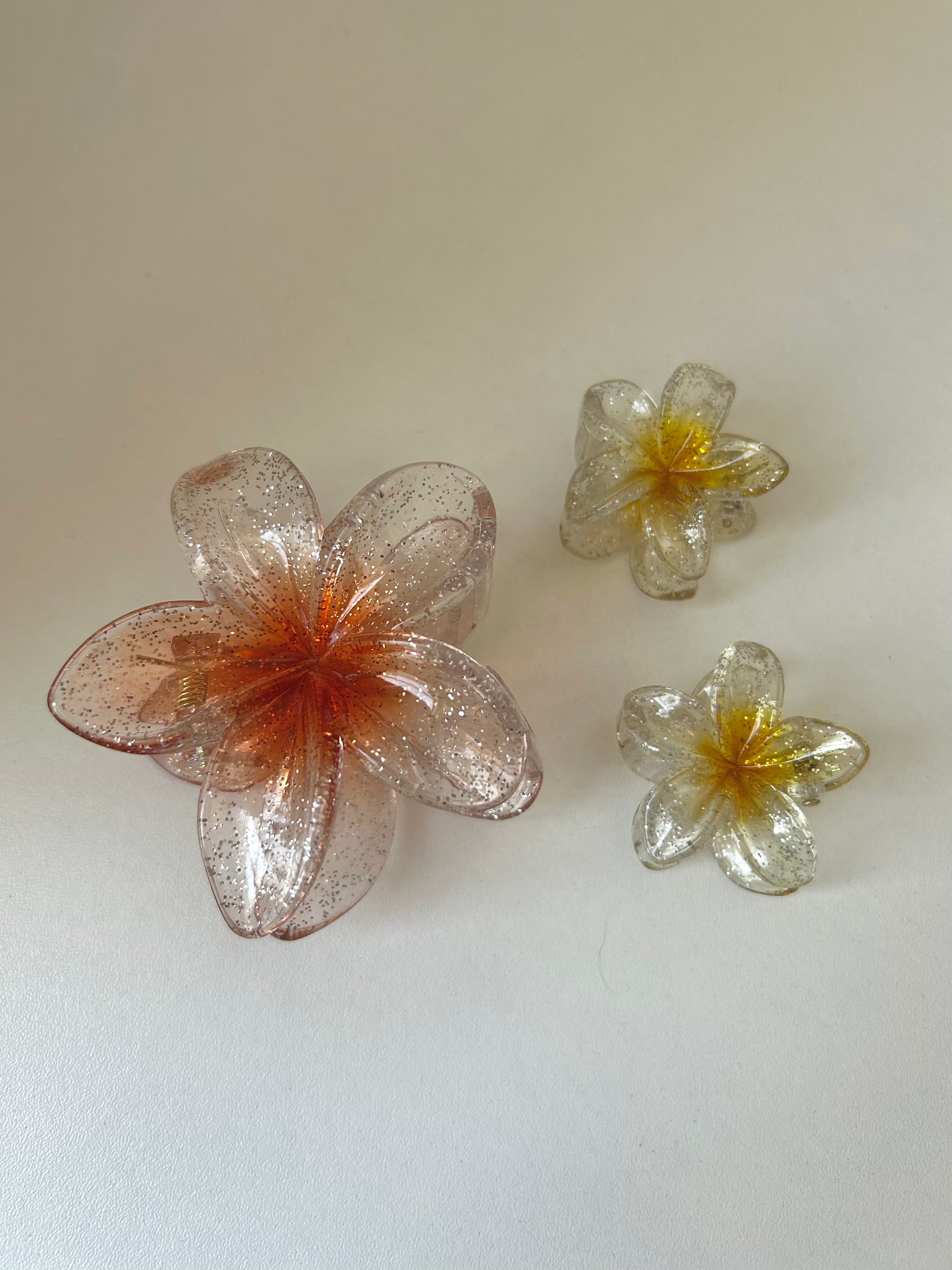 Set Transparent Flower Clips