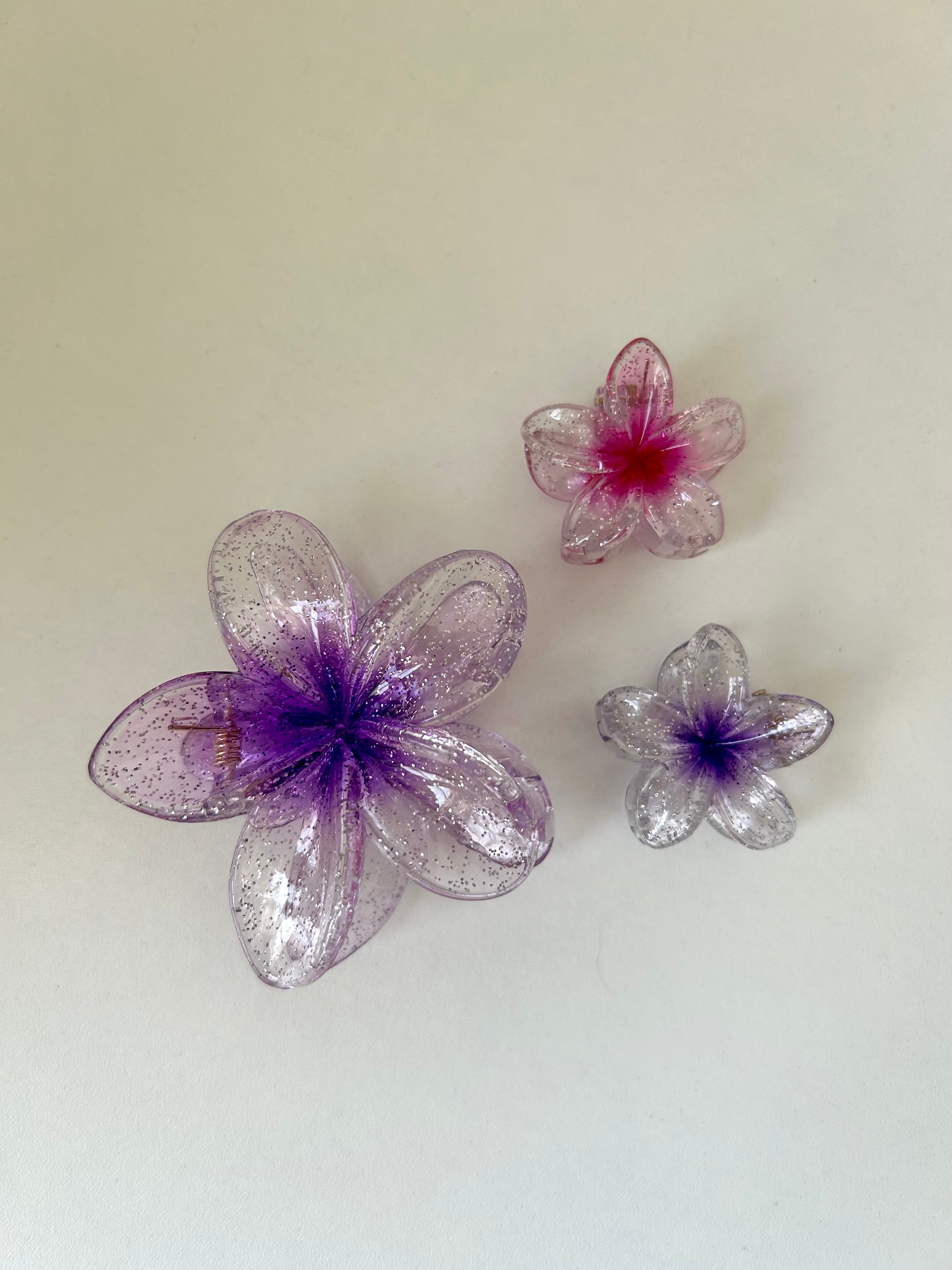 Set Transparent Flower Clips