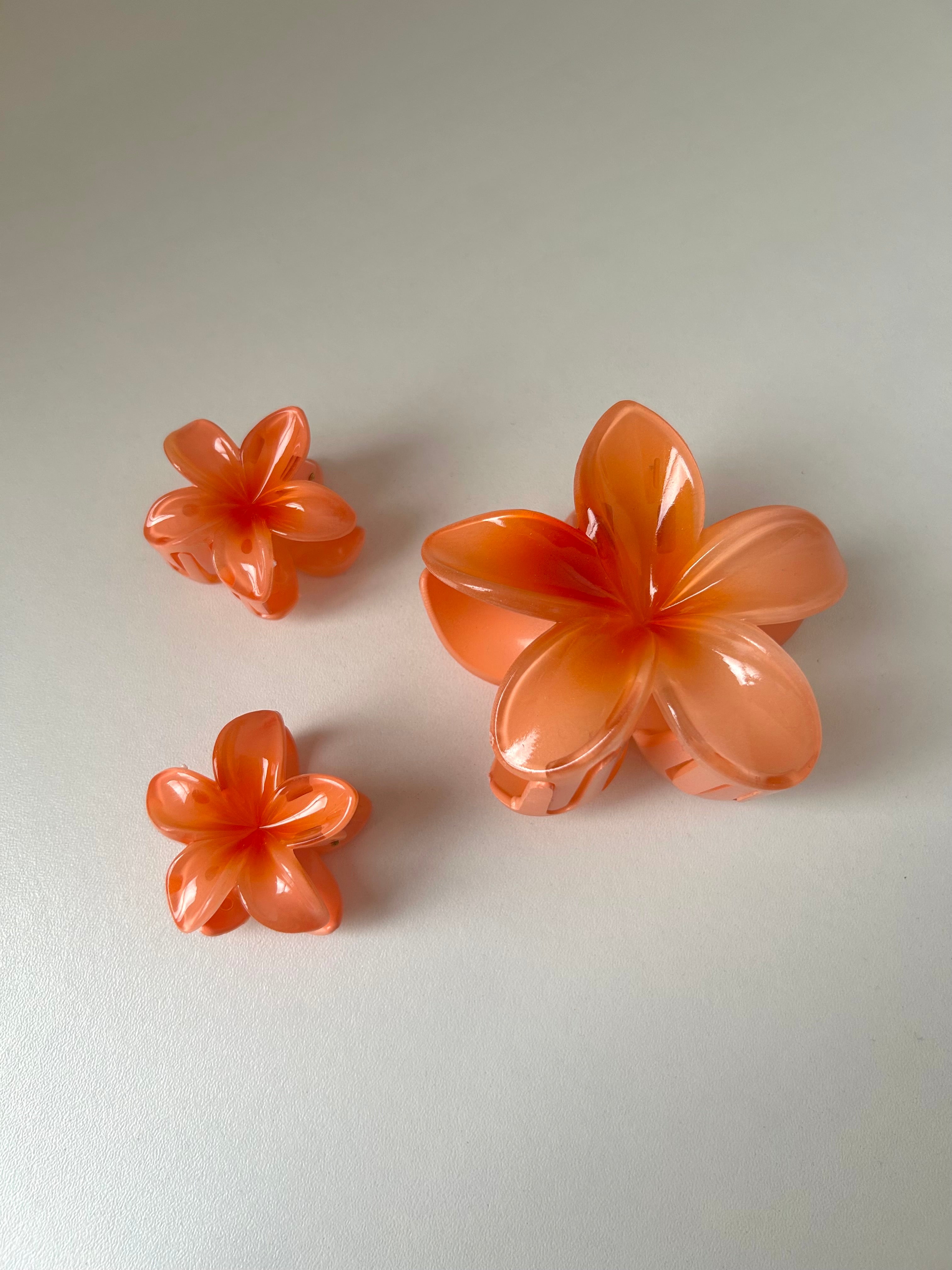 Set Flower Clips