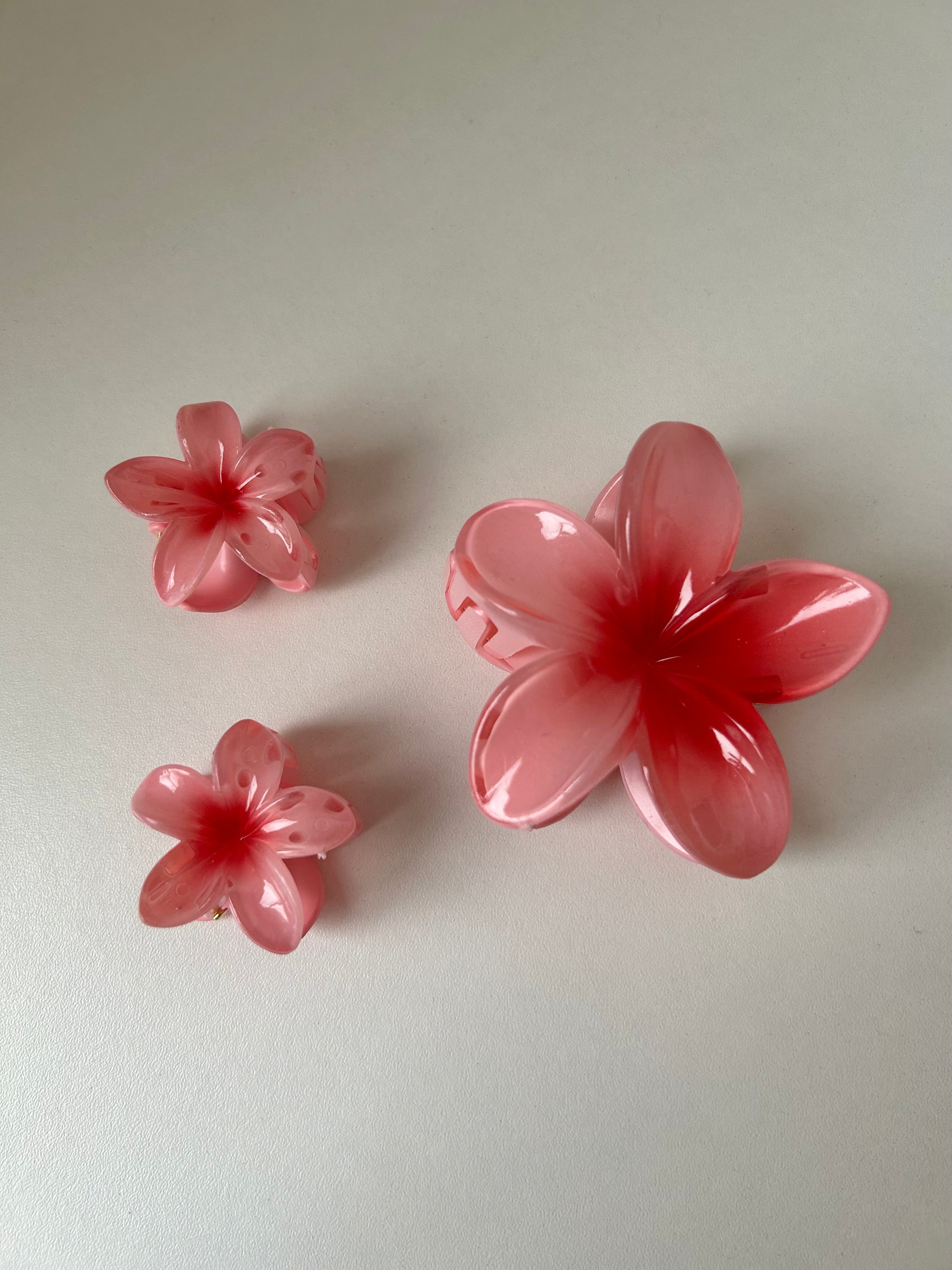 Set Flower Clips