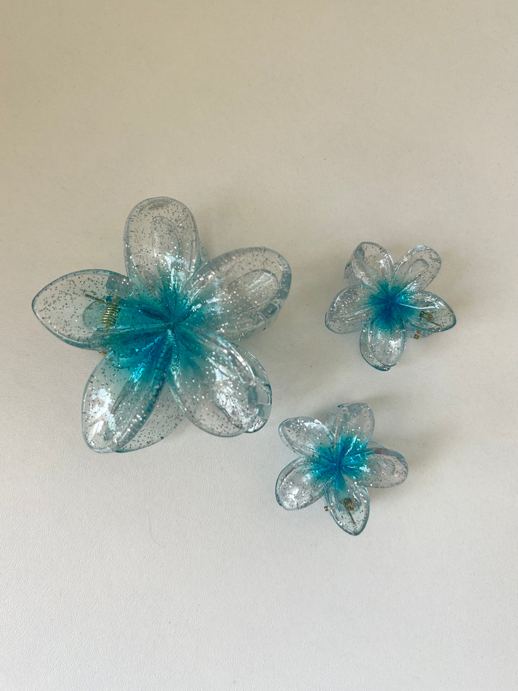 Set Transparent Flower Clips