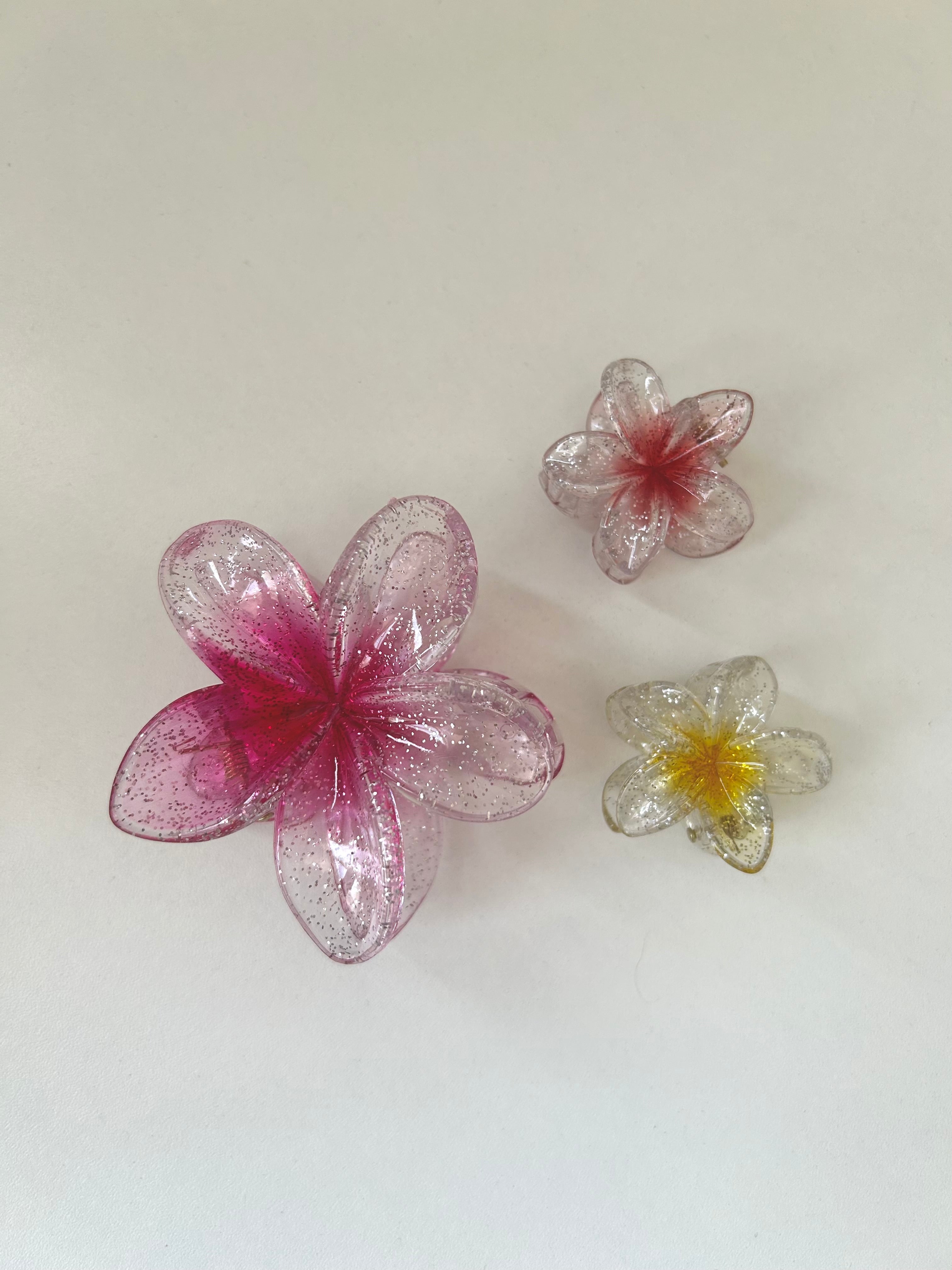 Set Transparent Flower Clips