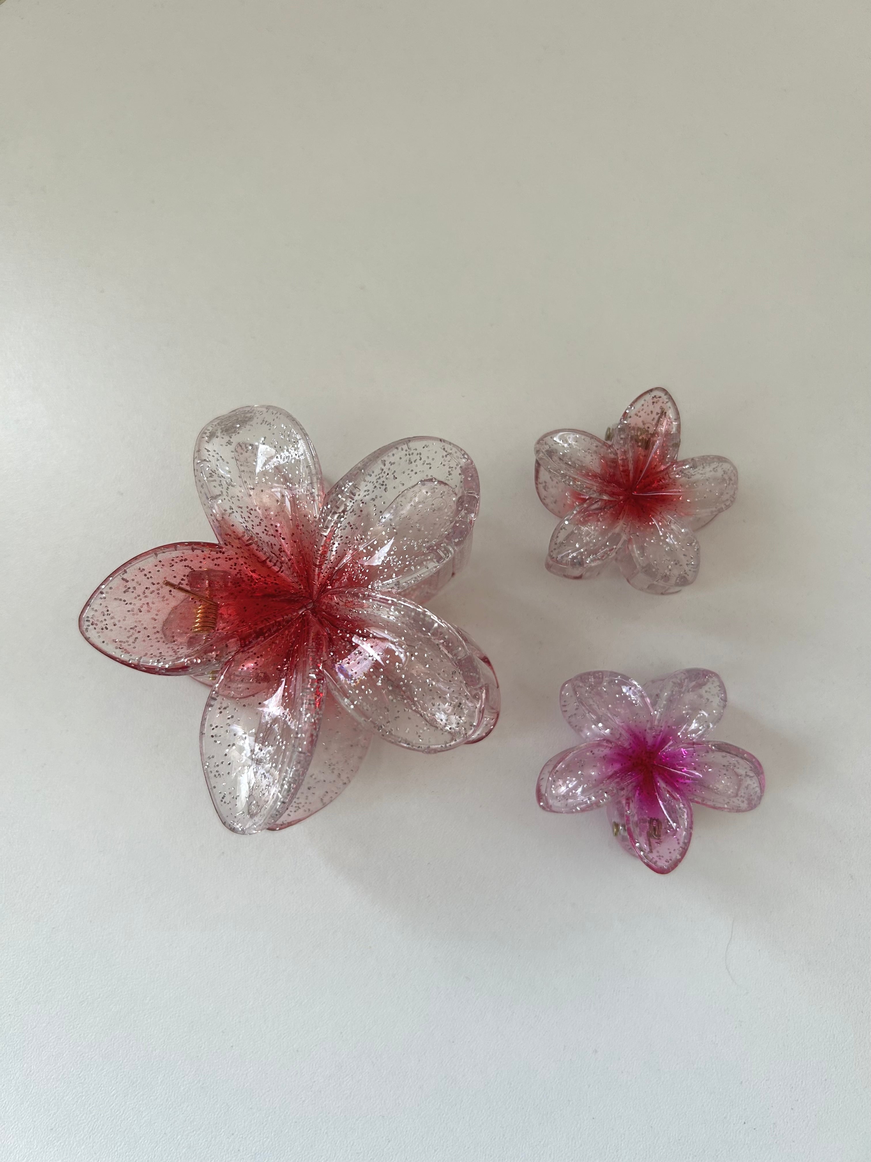Set Transparent Flower Clips