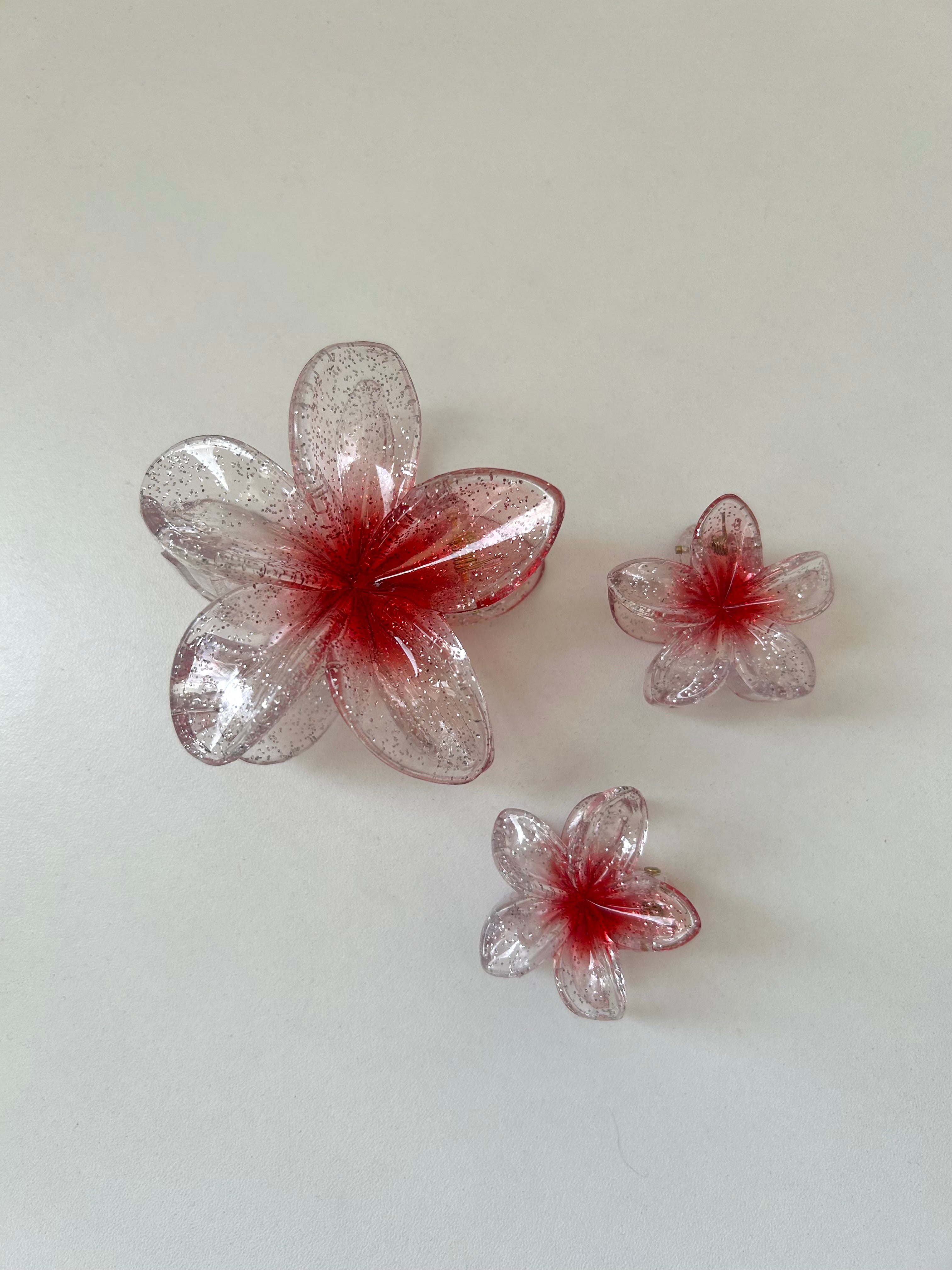 Set Transparent Flower Clips
