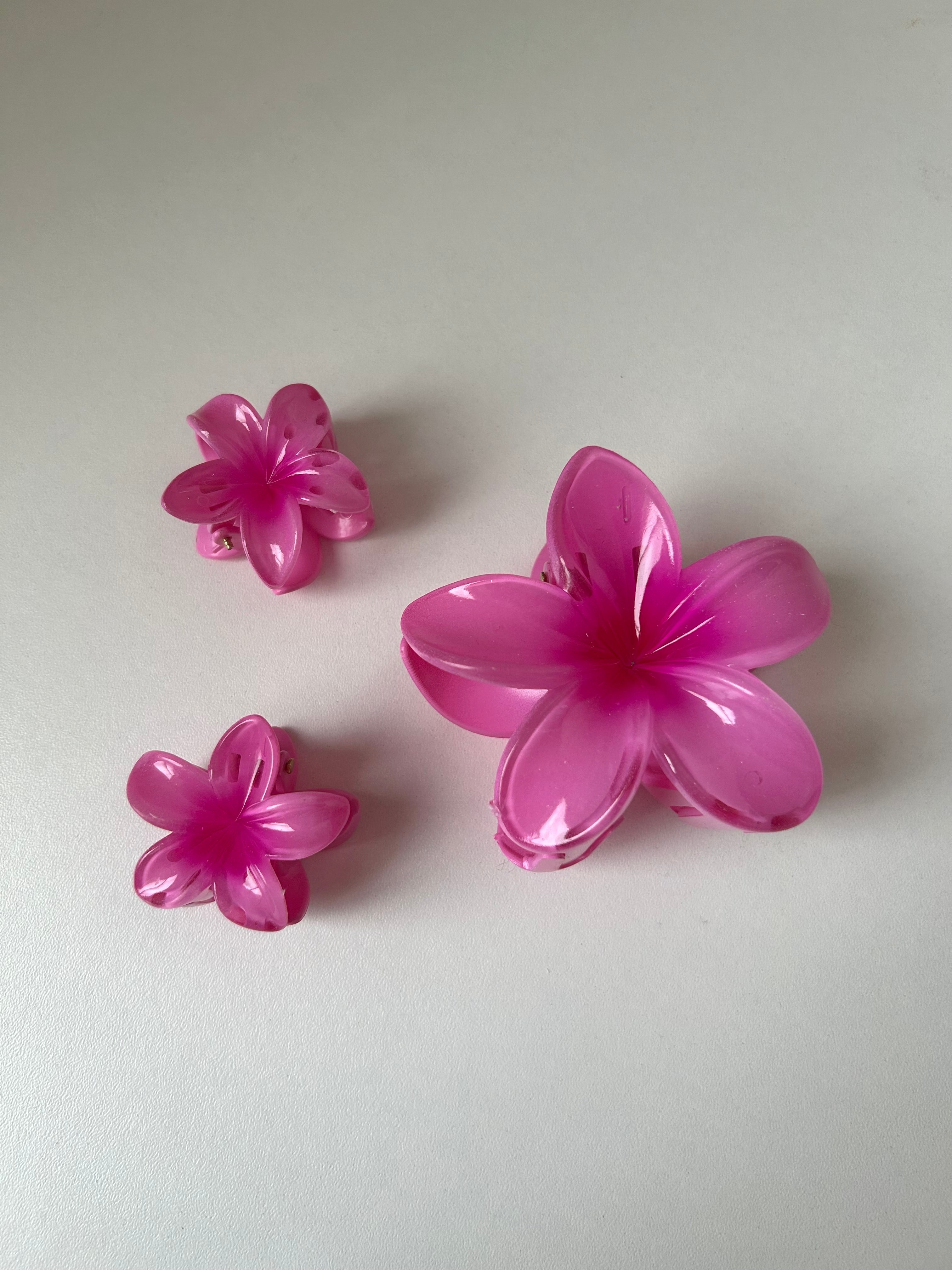 Set Flower Clips