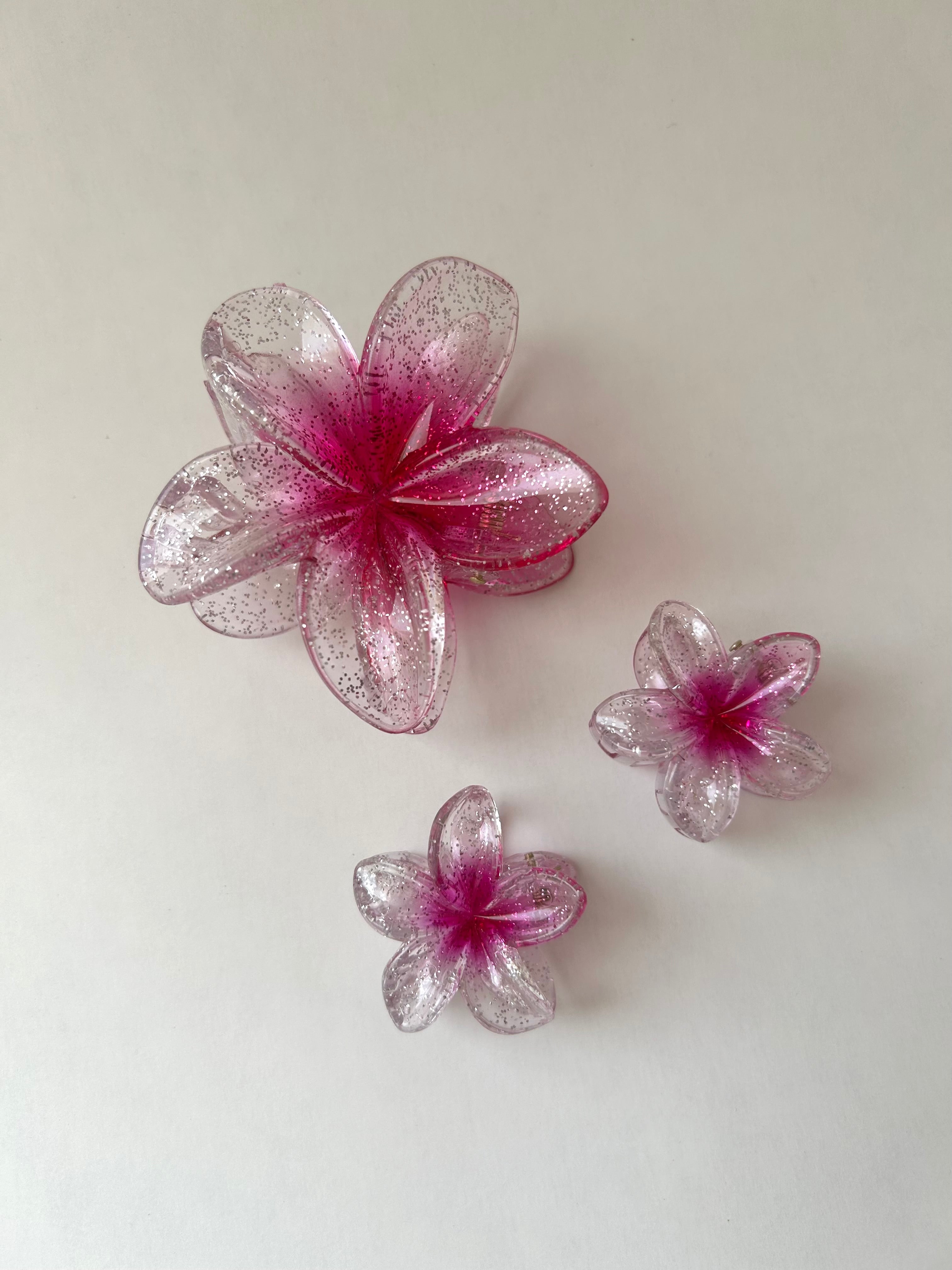 Set Transparent Flower Clips