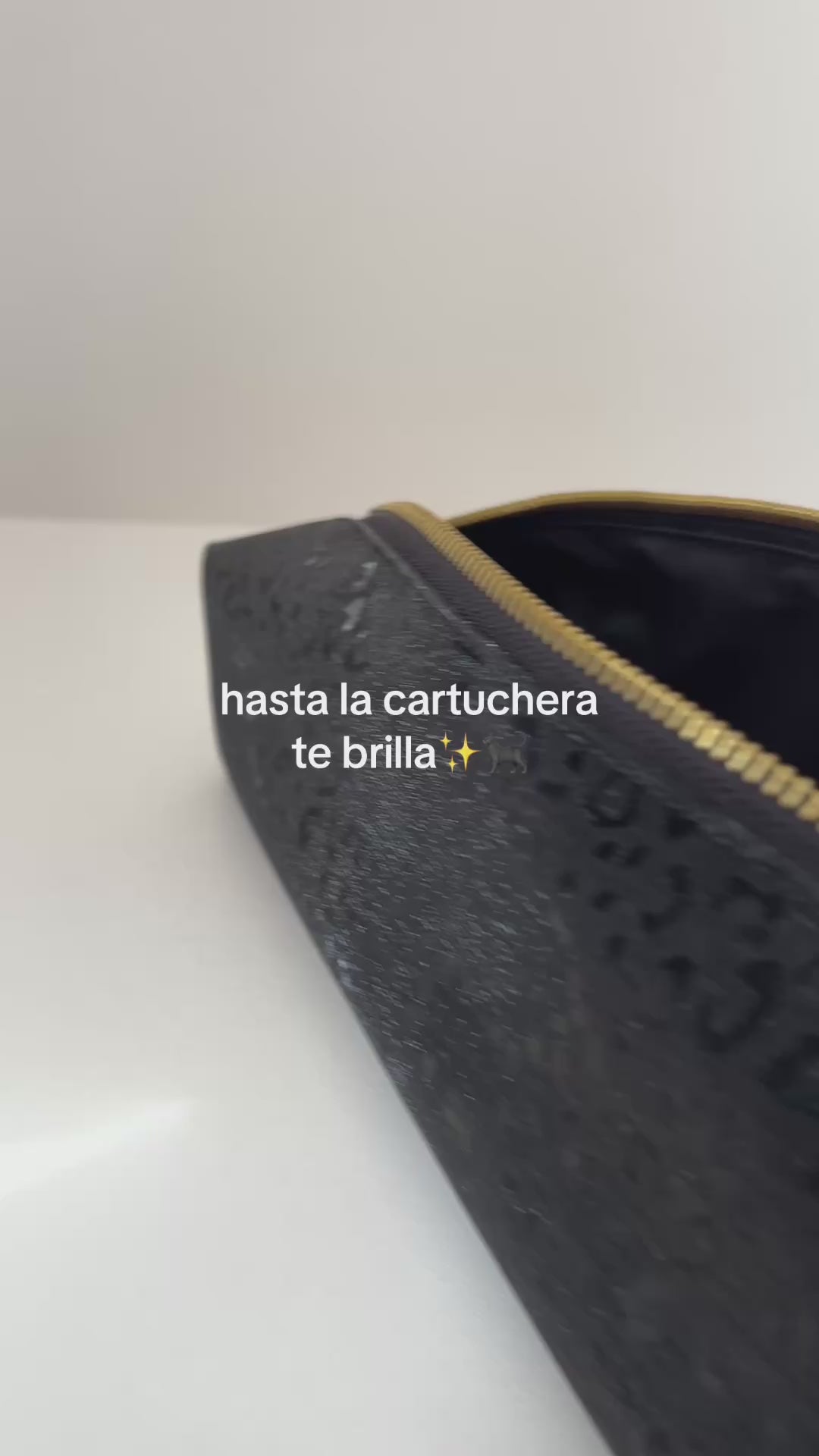 Cartuchera Black Cheetah